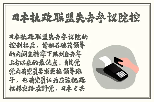 仙女的jiojio放到我坤巴上