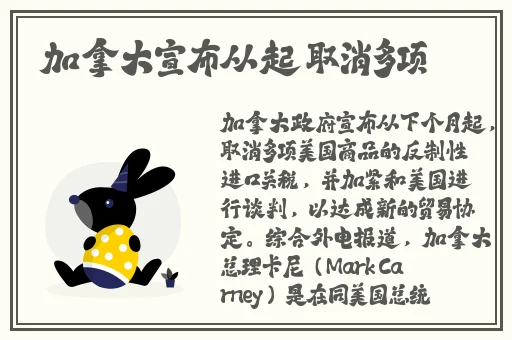 白丝汉服齐胸襦裙喷水